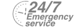 24/7 Emergency Service Pest Control in Blackheath, SE3. Call Now! 020 8166 9746
